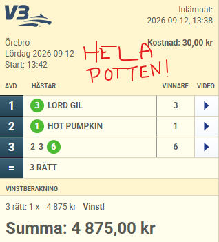 Vinstbong