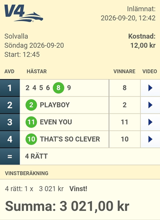 Vinstbong