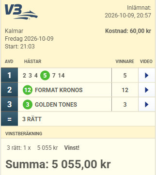 Vinstbong